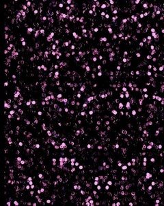 Meet your Posher, Damie